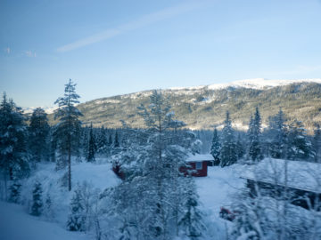 Holzhäuser im Winter an der Nordlandsbanen von Trondheim nach Bodø